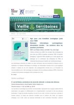 thumbnail of Veille & Territoires #333